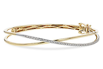 A311-21753: BANGLE .50 TW