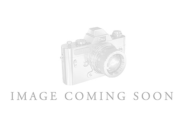 E311-23571: LDS DIA WED RG 1.33 TW (7 PEARS)